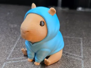 Cute Capybara in a Hoodie