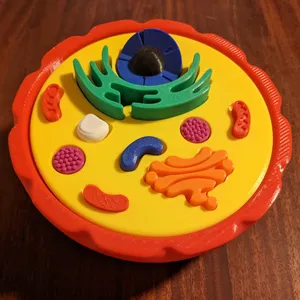 3d printed buildable cell model