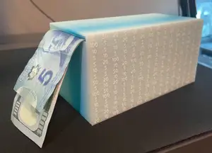 Savings Box (5000$)