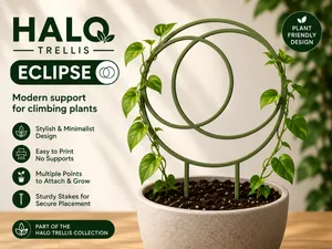 Halo Trellis – Eclipse