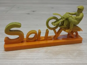SOLLY