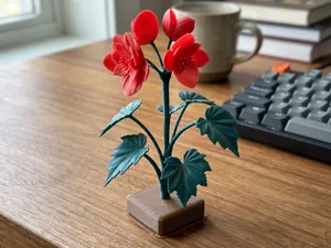 Begonia Flower – Decorative Floral 3D Printing