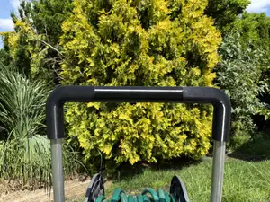 Trolley handle