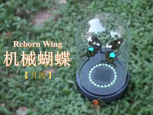 Reborn Wing机械蝴蝶