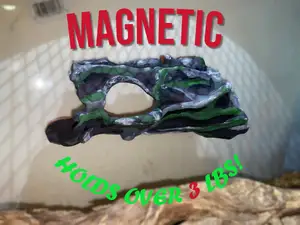 Magnetic Reptile Ledge - Hollow Log