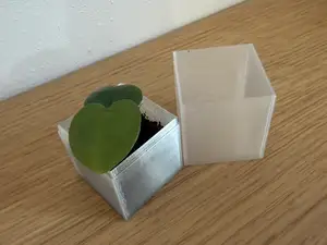 Small seed growing box with lid