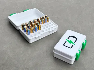 AA & AAA Battery Organizer Box – Dual Latch