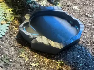 reptile lizard food water bowl dish