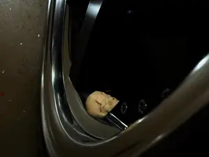 Valve Stem Caps : Skull! For cars and bikes