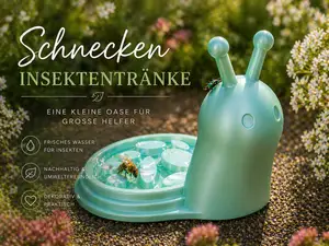 Insektentränke Schnecke | Bee Water Station