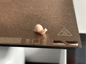 winzige Schnecke