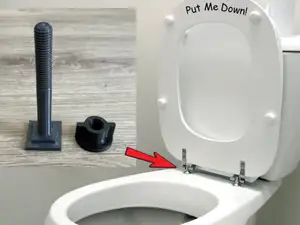 Bolt for toilet seat