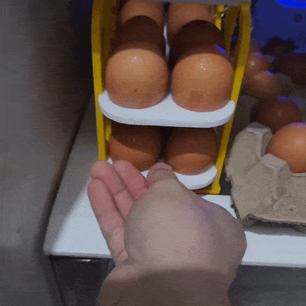 Pull My Egg Tray - Includes Chicks Printout.