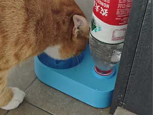 宠物饮水机V2