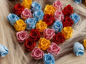 Mini Roses / Cute Rose