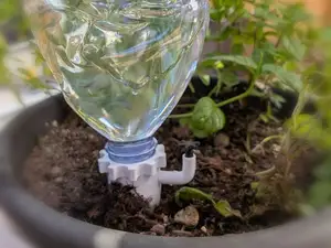 Plant Watering Dripper