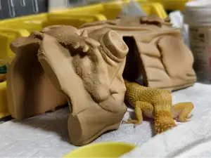 爬行动物躲避屋