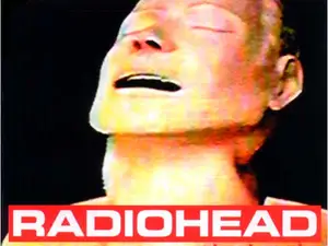 Radio headcover