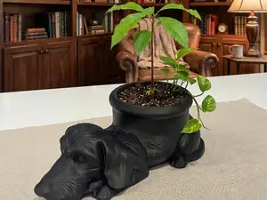 Wire-Haired Dachshund Planter & Pen Holder