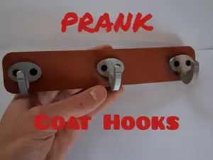 Pranks Coat Hooks