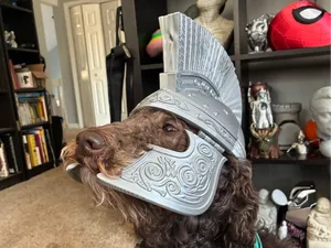 Spartan/Trojan War Dog Helmet – Fully Articulated