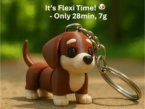 Flexi Dog - Keychain