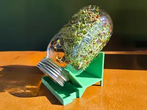 Seed sprouting jar holder