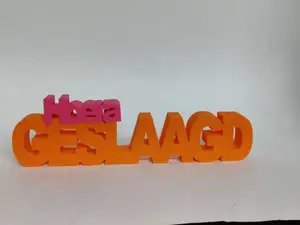 Hoera Geslaagd letters