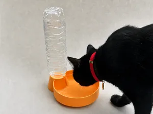 Automatic Pet Water Dispenser – Gravity Refill