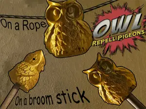 Owl to repel pigeons [No SUPPORT] 猫头鹰驱赶鸽子