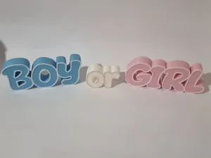 BOY or GIRL - GENDER REVEAL