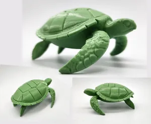 Sea Turtle