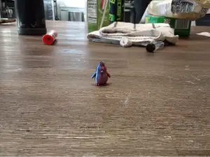 Penguin
