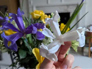 Iris Flower (3d scanned real flower)