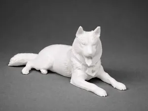 Lying Siberian Husky - Animal - Dog
