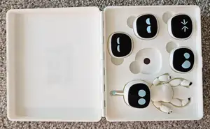 Astro Bot Case