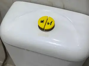 Kids-friendly Toilet Flush Buttons