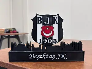 Besiktas with skyline of Istanbul