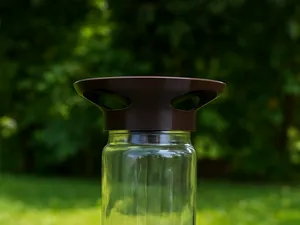 Slug Trap – Garden Friendly Solution
