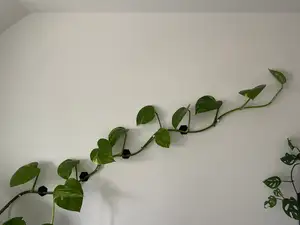 Crochets muraux hexagonaux pour plantes grimpantes