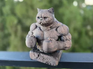 Cat Boxer – Lightweight Champion Edition 