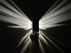 鸟类投影灯壳