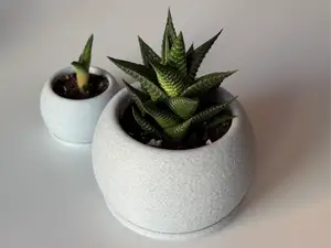 Flower pot