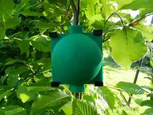 Plant Root Growing Box