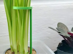 Flower support