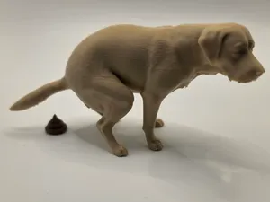 Labrador Dog – Funny Squatting Pose