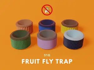Small fruit fly trap