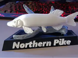 Northern Pike — Fishing Collection 01