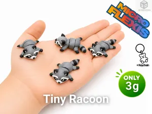 Tiny Racoon