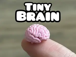 Tiny Brain – For Someone Who Might Need It